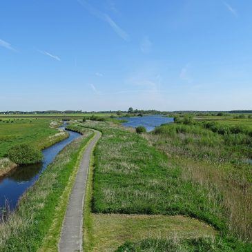 Ae&#039;s Woudbloem (&#039;t Roegwold)